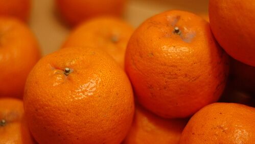 Названы главные поставщики мандаринов в Россию