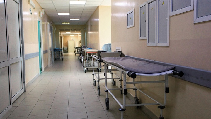 В Новгородской области грибник остался жив после атаки медведя